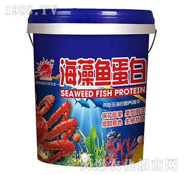 �����~���ף��{(l��n)��-�P�L��