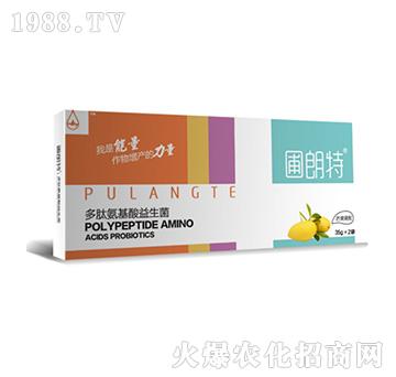 â������-���İ�����������-������