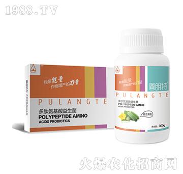 �S������-���İ�����������-������