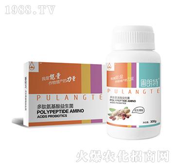 ��������-���İ�����������-������