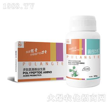 �޻�����-���İ�����������-������