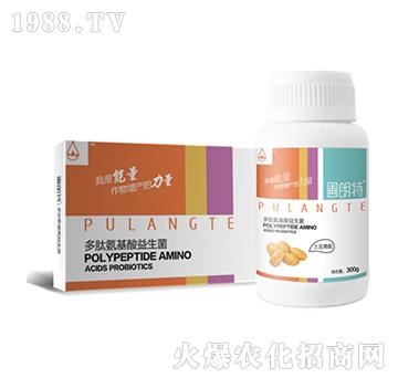 ��������-���İ�����������-������