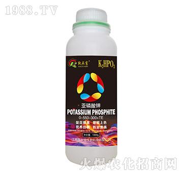 �������-�P�L��