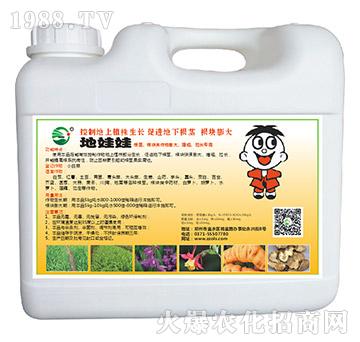 ������-�W��ɭ