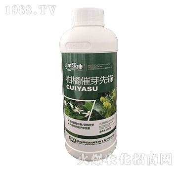 ���ٴ�ѿ���h-ؐ����-��᷾G��