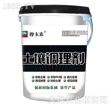 �����{�턩-Ħ����-��о���H