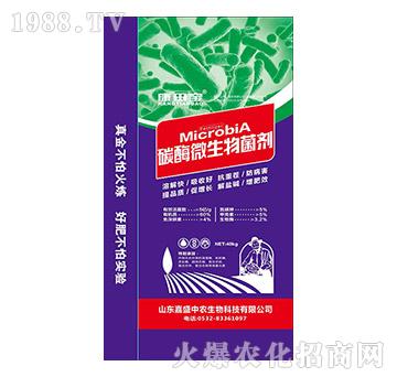 ̼ø΢�������-���-��ʢ���r