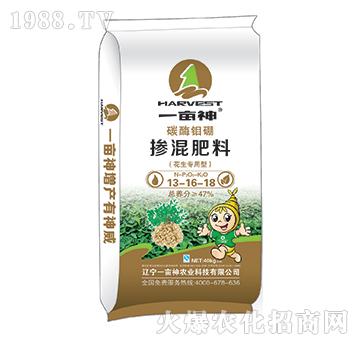 ����������̼ø�f�𓽻��13-16-18-һ����