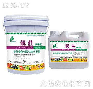 ΢�������-������n��-��̩���