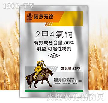 56%���������c-�ɯ�oۙ-�к����_(d��)