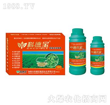 �����󶹌�(zhu��n)�àI(y��ng)�B(y��ng)���a(ch��n)�{(di��o)�턩-�Ƶ�