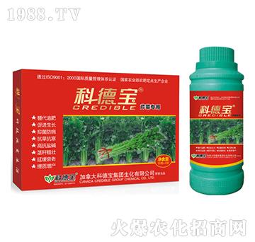 �Ƶ�-�۲ˌ�(zhu��n)��