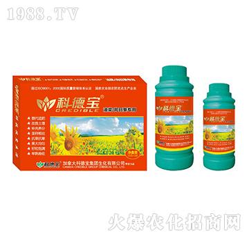 �Ͳˡ����տ���(zhu��n)�àI(y��ng)�B(y��ng)���a(ch��n)�{(di��o)�턩-�Ƶ�