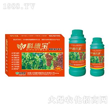 ���������ӌ�(zhu��n)�àI(y��ng)�B(y��ng)���a(ch��n)�{(di��o)�턩-�Ƶ�