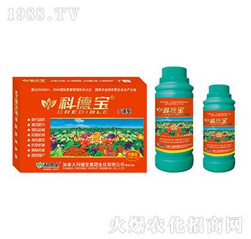 �V�V�͠I(y��ng)�B(y��ng)���a(ch��n)�{(di��o)�턩-�Ƶ�