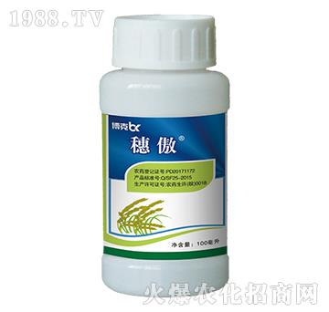 30%�������-���-