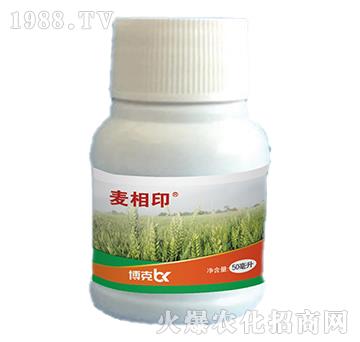 15%Ȳ����-����ӡ-