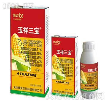 71%�ҡ�ݬ��������-��������-���˰ل�