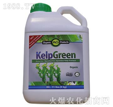 ø�⺣���-���º���