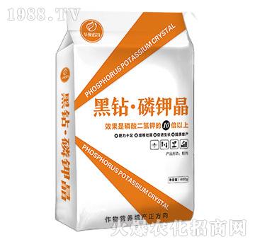 黑鉆·磷鉀晶-諾爾