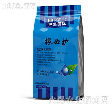 �����o-�o�����H