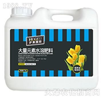 �Ҹ������ʹ���Ԫ��ˮ�ܷ���-�o�����H