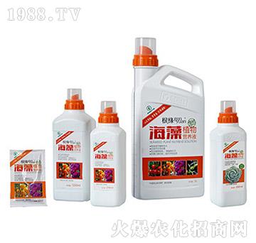 ����ֲ��I(y��ng)�B(y��ng)Һ-����ͨ����