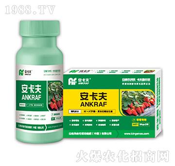 草莓專用葉面肥-安卡夫