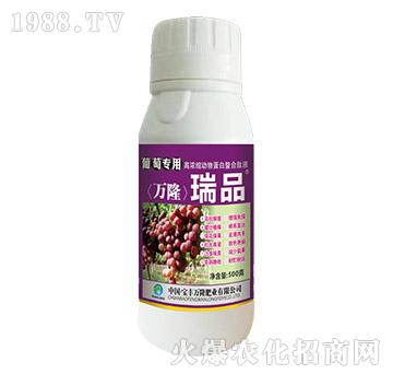 ���ь�(zhu��n)�øߝ�s��(d��ng)�ﵰ��