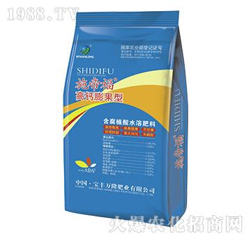 ���}����ͺ���ֲ��ˮ��