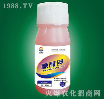 �Ǵ��-�W�ʩ