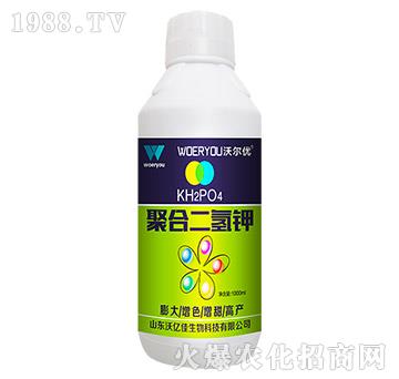 �ۺ϶����-�֠���(y��u)