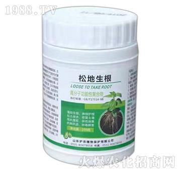 �͵�����-�o(h��)�r(n��ng)