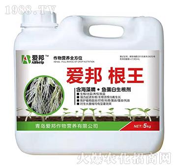 ����-�۰�