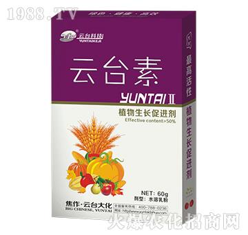 云臺素II-云臺大化