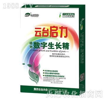 云臺啟力-云臺大化