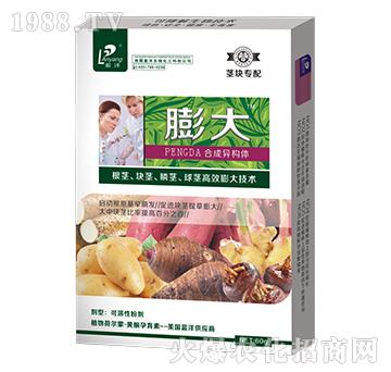 莖塊專配膨大-云臺大化