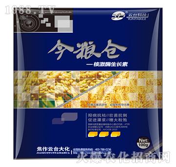 核激酶生長素-金糧倉-云臺大化