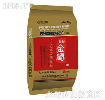 云臺金磚-云臺大化