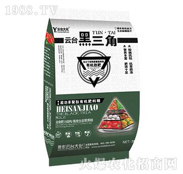 云臺黑三角-云臺大化