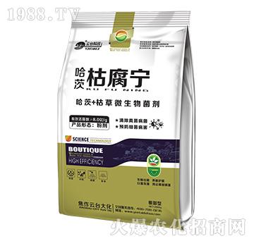 哈茨枯腐寧-云臺大化