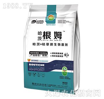 哈茨根姆-云臺大化