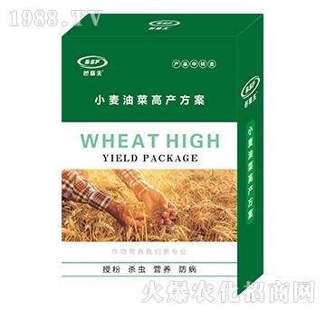 小麥油菜高產方案-笆塞夫