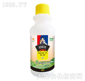 40%�����`-�n����-�n�r(n��ng)����