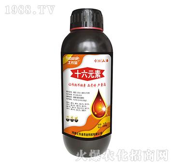 ʮ��Ԫ��-���L��