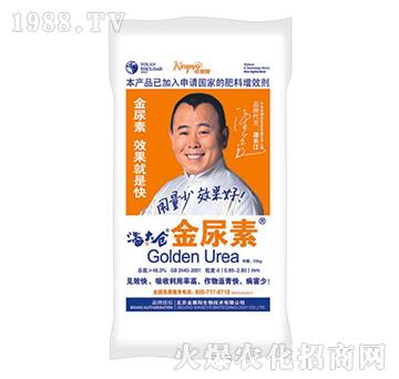 金尿素-潘大倉-金賽陽