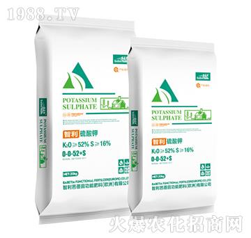 ���������0-0-52+S-������-�vɭ�ʘI(y��)