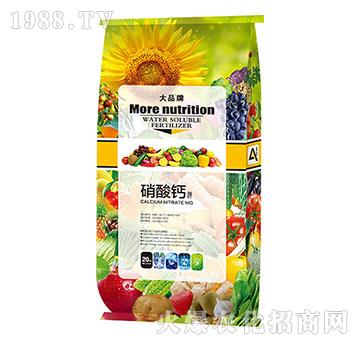 �����}�V-ɽ������