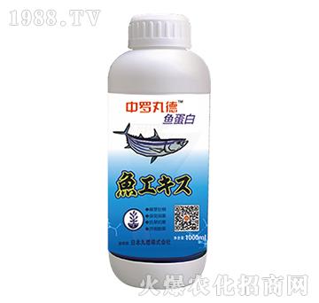 中羅丸德魚(yú)蛋白-中羅