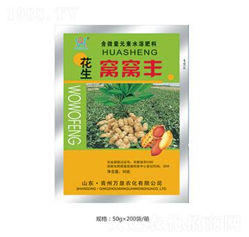 �����C�C�S-�fȪ�r��